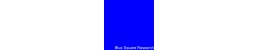 Blue Square Research Blue Square Research